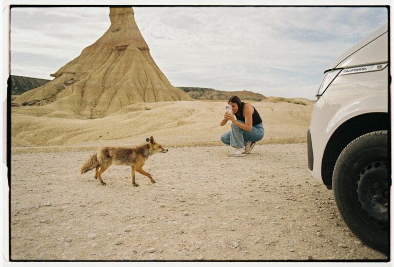 A woman crouching to photograph a fox in the arid landscape of Bardenas Reales, Spain