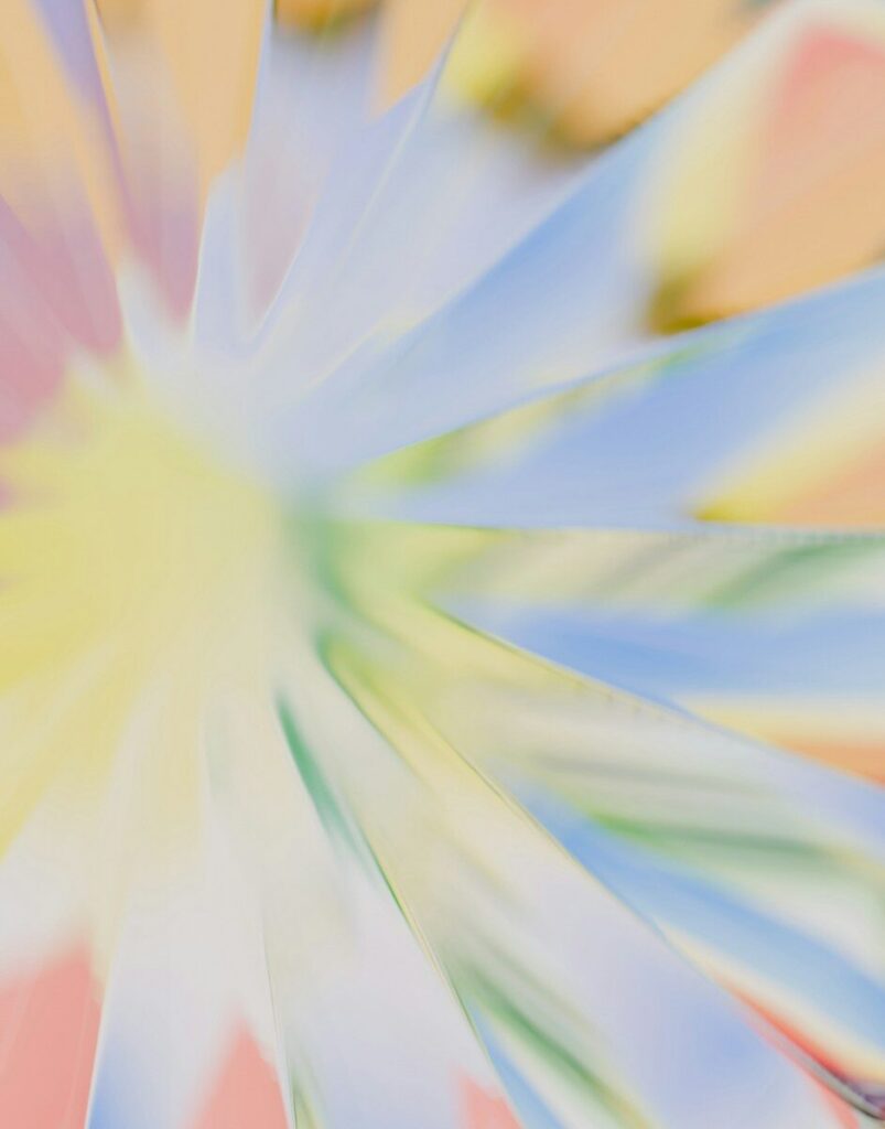 A 3D render of abstract translucent petals radiating from a central point in soft pastel colors